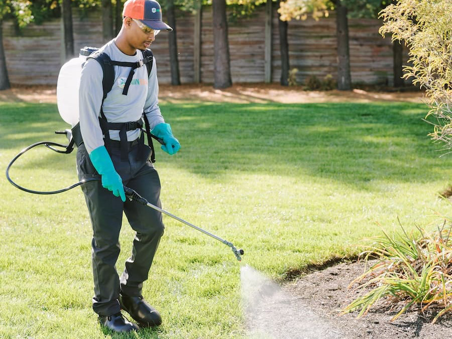 Lawn Care Service - Pest Spray Lawn