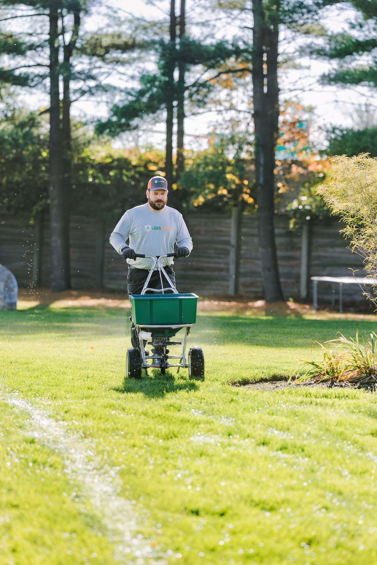 Seeding a lawn